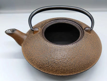将图片加载到图库查看器,南部鉄器/京焼・清水焼 鉄瓶急須 茶彩華詰 小