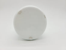 画像をギャラリービューアに読み込む, 有田焼 照井一玄 青白磁 片口(バオバブ)