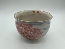 将图片加载到图库查看器,土渕陶あん(陶あん窯) 幽玄桜お茶呑茶碗