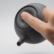 画像をギャラリービューアに読み込む, 常滑焼 水野博司 急須