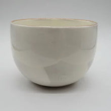 将图片加载到图库查看器,京焼・清水焼 土渕陶あん(陶あん窯) 陶あんボウル梅