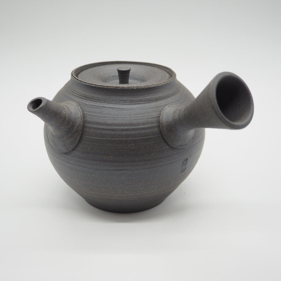 Tokoname pottery Hiroshi Mizuno teapot