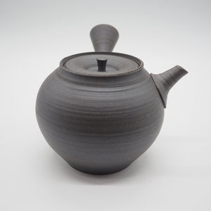 Tokoname pottery Hiroshi Mizuno teapot