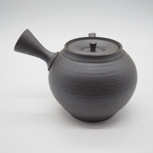 Tokoname pottery Hiroshi Mizuno teapot