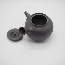 Load image into Gallery viewer, Tokoname pottery Hiroshi Mizuno teapot
